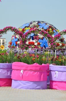 Dubai Miracle Garden in the UAE. It has over 45 million flowers.