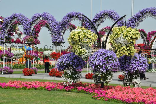 Dubai Miracle Garden in the UAE. It has over 45 million flowers.