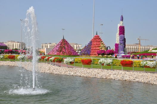 Dubai Miracle Garden in the UAE. It has over 45 million flowers.