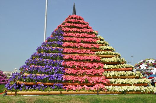 Dubai Miracle Garden in the UAE. It has over 45 million flowers.