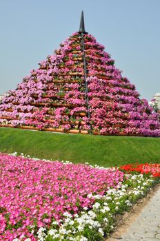 Dubai Miracle Garden in the UAE. It has over 45 million flowers.