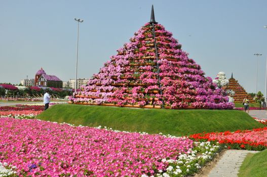 Dubai Miracle Garden in the UAE. It has over 45 million flowers.