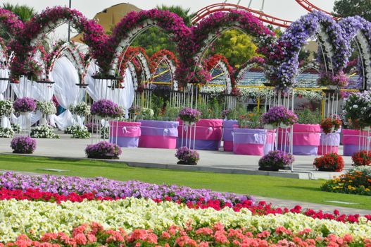 Dubai Miracle Garden in the UAE. It has over 45 million flowers.