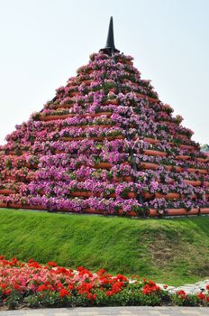 Dubai Miracle Garden in the UAE. It has over 45 million flowers.