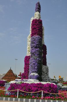 Dubai Miracle Garden in the UAE. It has over 45 million flowers.