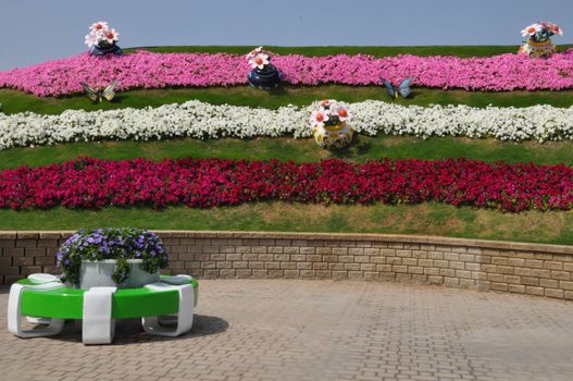 Dubai Miracle Garden in the UAE. It has over 45 million flowers.