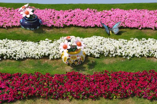 Dubai Miracle Garden in the UAE. It has over 45 million flowers.