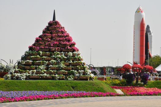 Dubai Miracle Garden in the UAE. It has over 45 million flowers.