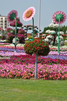 Dubai Miracle Garden in the UAE. It has over 45 million flowers.