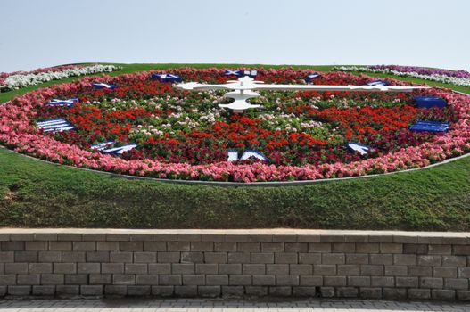 Dubai Miracle Garden in the UAE. It has over 45 million flowers.