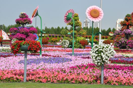 Dubai Miracle Garden in the UAE. It has over 45 million flowers.