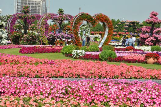 Dubai Miracle Garden in the UAE. It has over 45 million flowers.