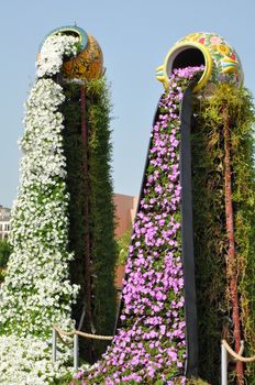 Dubai Miracle Garden in the UAE. It has over 45 million flowers.