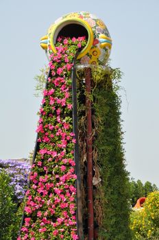 Dubai Miracle Garden in the UAE. It has over 45 million flowers.