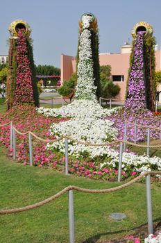 Dubai Miracle Garden in the UAE. It has over 45 million flowers.