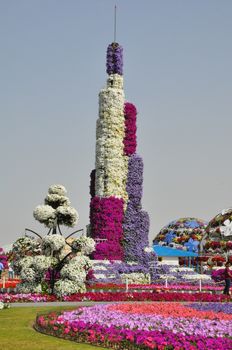 Dubai Miracle Garden in the UAE. It has over 45 million flowers.