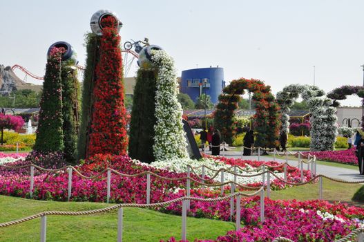 Dubai Miracle Garden in the UAE. It has over 45 million flowers.