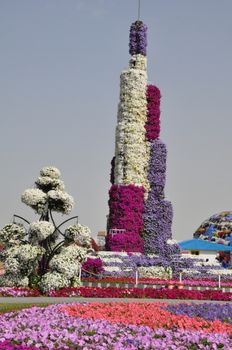 Dubai Miracle Garden in the UAE. It has over 45 million flowers.