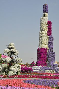 Dubai Miracle Garden in the UAE. It has over 45 million flowers.