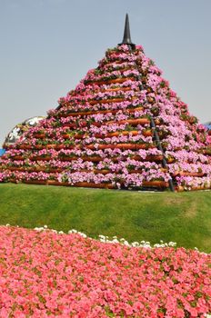 Dubai Miracle Garden in the UAE. It has over 45 million flowers.