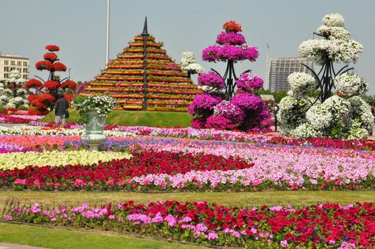 Dubai Miracle Garden in the UAE. It has over 45 million flowers.