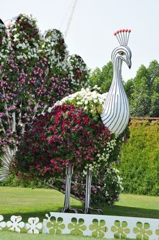 Dubai Miracle Garden in the UAE. It has over 45 million flowers.