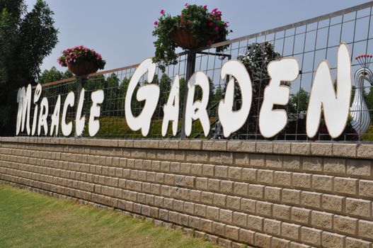 Dubai Miracle Garden in the UAE. It has over 45 million flowers.