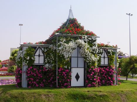 Dubai Miracle Garden in the UAE. It has over 45 million flowers.