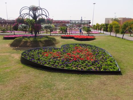 Dubai Miracle Garden in the UAE. It has over 45 million flowers.