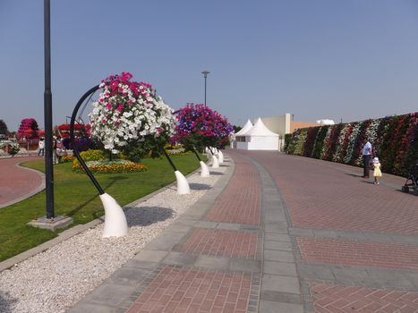 Dubai Miracle Garden in the UAE. It has over 45 million flowers.