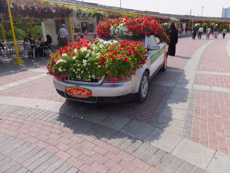 Dubai Miracle Garden in the UAE. It has over 45 million flowers.