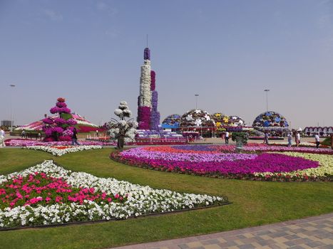 Dubai Miracle Garden in the UAE. It has over 45 million flowers.