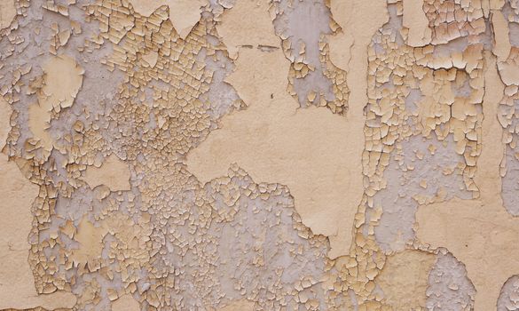 Walls of old buildings, paint is peeling off into small strips.                              