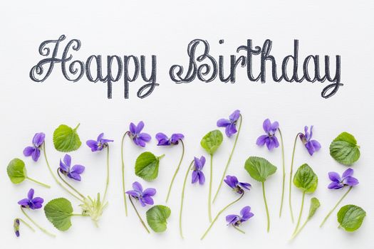 Happy birthday greetings with fresh viola flowers  and leaves on white art canvas