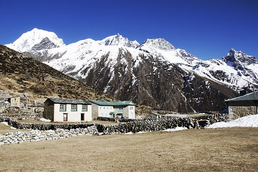 farm in gokyo valley in hiamalayas