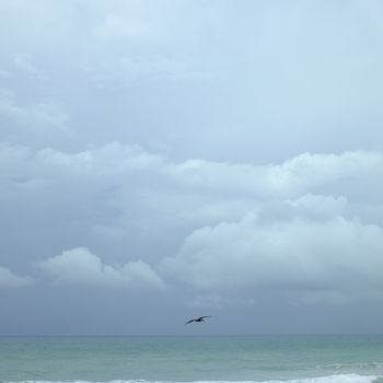 Pelican flying over turquoise water during a cloudy day