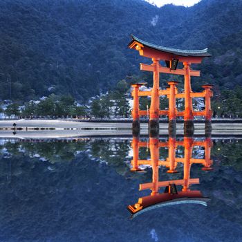 Tori reflection in japan