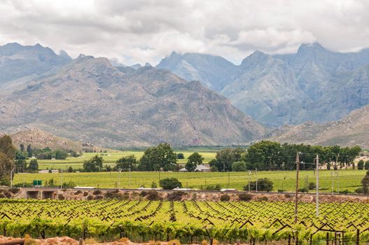 View to the west from the N1 road to the mountains of the Hex River Valley