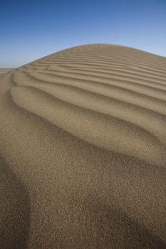 Desert dunes, wonderful saturated travel theme