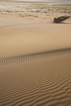 Dunes, wonderful saturated travel theme