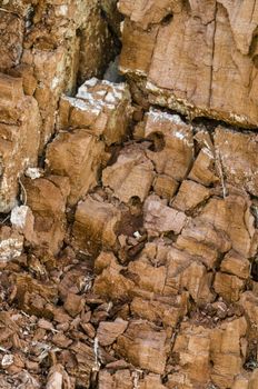 Detail of a broken tree trunk with bark resembling a rock wall