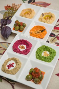 Delicious and healthy hummus set in white pate.