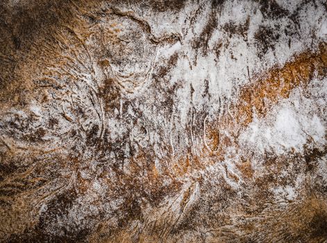 abstract background or texture baked on crust of bread