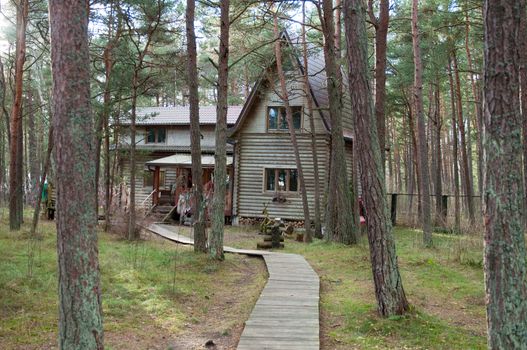 Old wooden house in the woods. Autumn season. Pine forest.