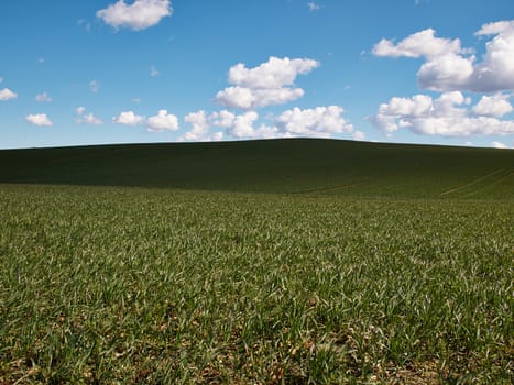 Green field and blue sky with clouds nature background