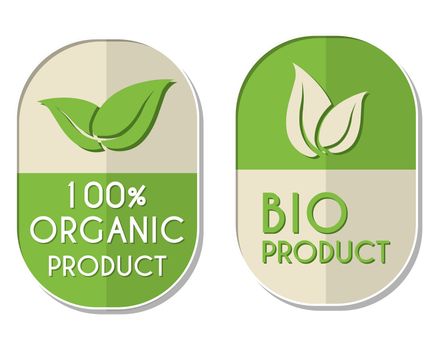 100 percent organic and bio product with leaf signs banners, two elliptic flat design labels with text and symbol, business eco concept