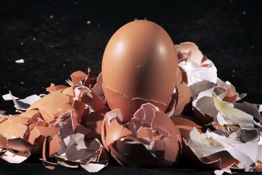 Low light with high contrast lighting of a bunch of eggs whole and crushed shells.