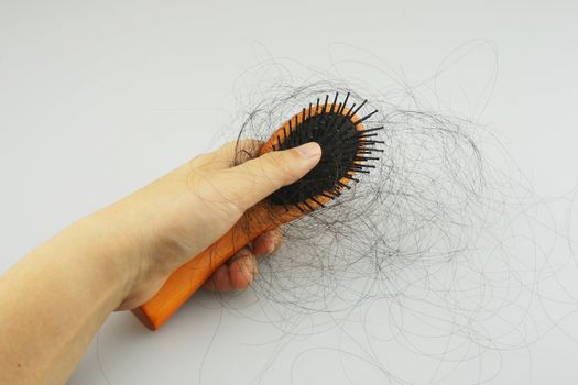 Women with hair loss problems, there are many hair attached to a comb after use.                                 