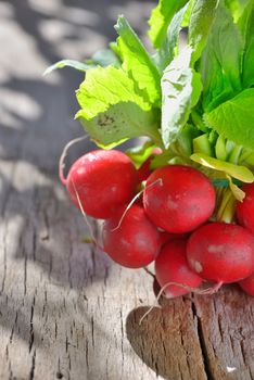 bunch of fresh radish on wood