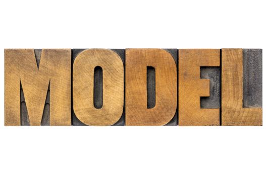 model word typography - isolated text in vintage letterpress printing blocks